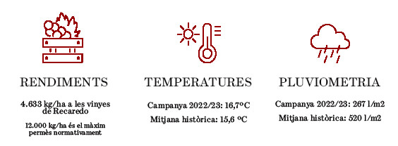 Dades rendiments, temperatura i dates verema 2023 a Recaredo