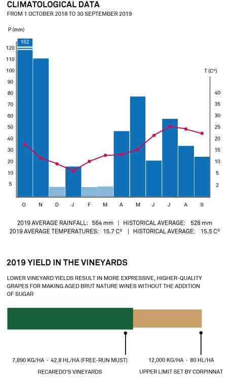 2019 Harvest Season Recaredo