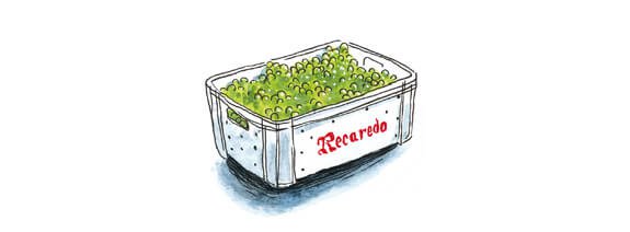 Verema a mà RECAREDO