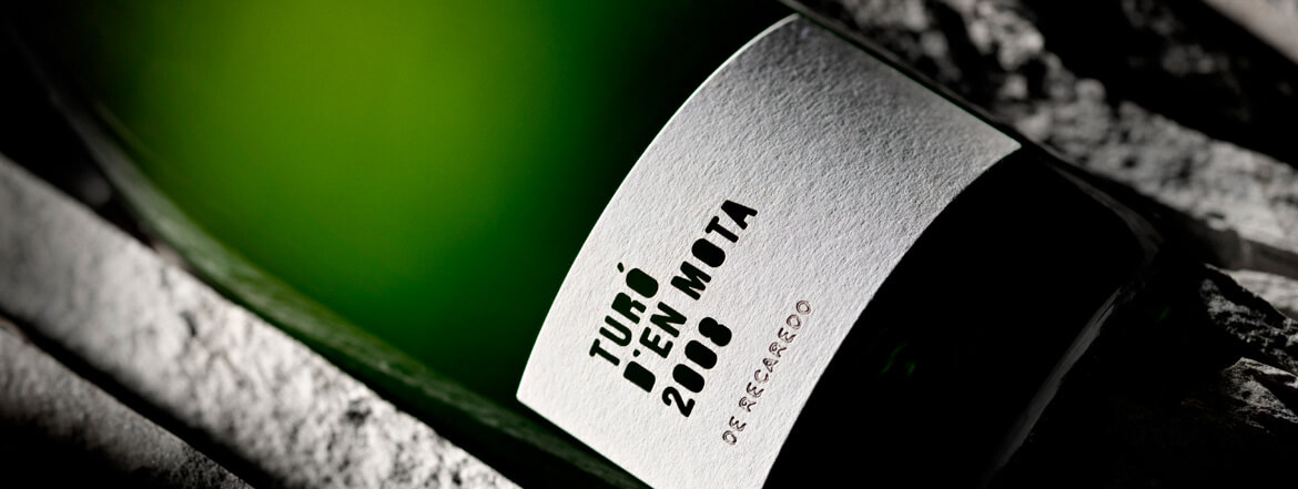 Turó d'en Mota 2008