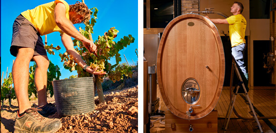 Vins escumosos de terrer